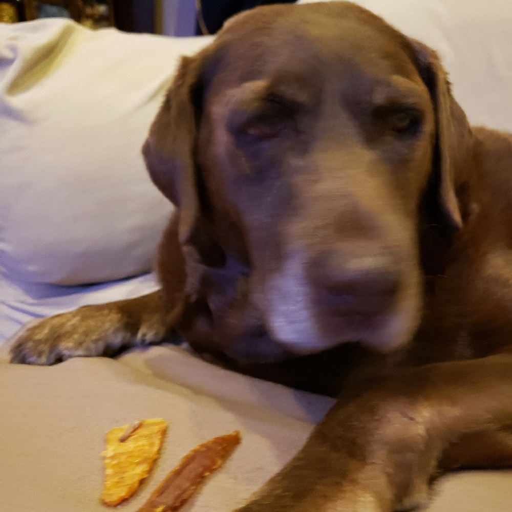 Meet your Posher, Laura